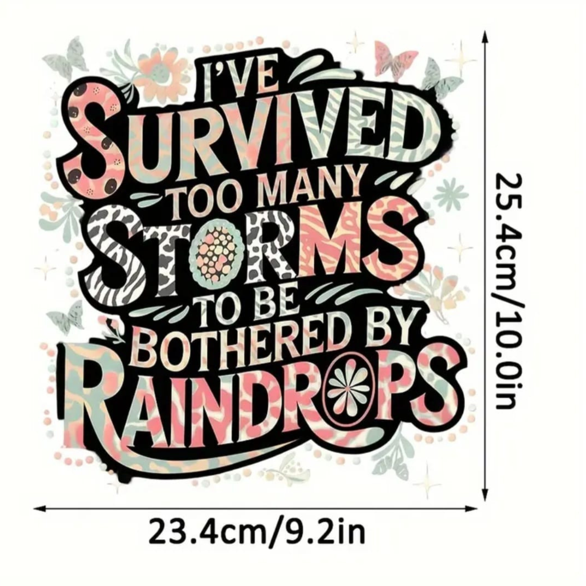 I'VE SURVIVED TOO MANY STORMS - Image 7